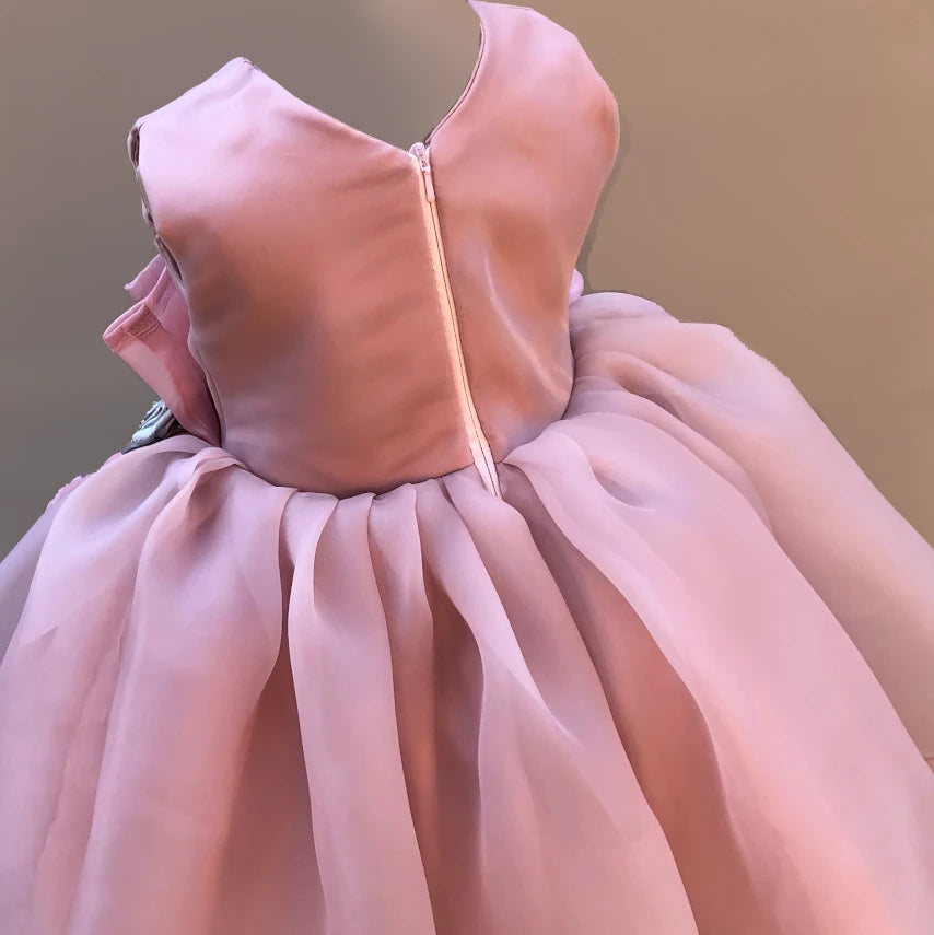 Julia Pink And Silver Organza Dress