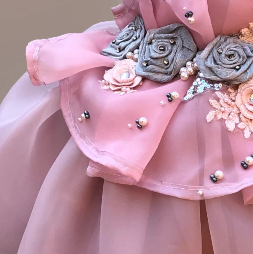 Julia Pink And Silver Organza Dress