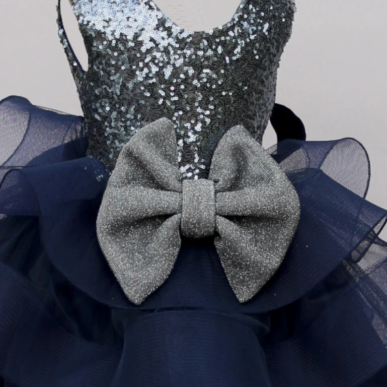 Leilani Navy and Silver Tulle Dress