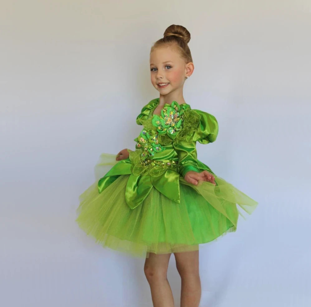 Tinkerbell Fairy Dress