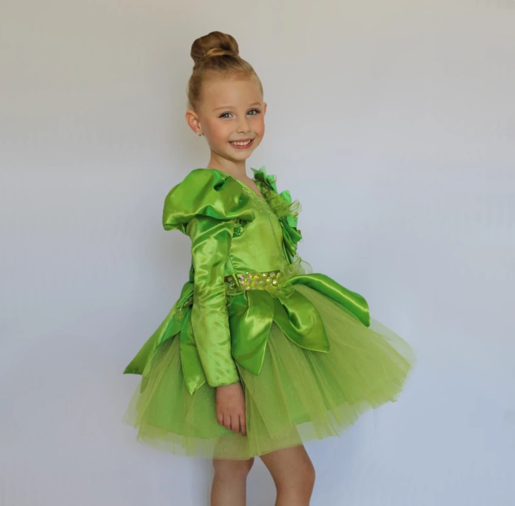 Tinkerbell Fairy Dress