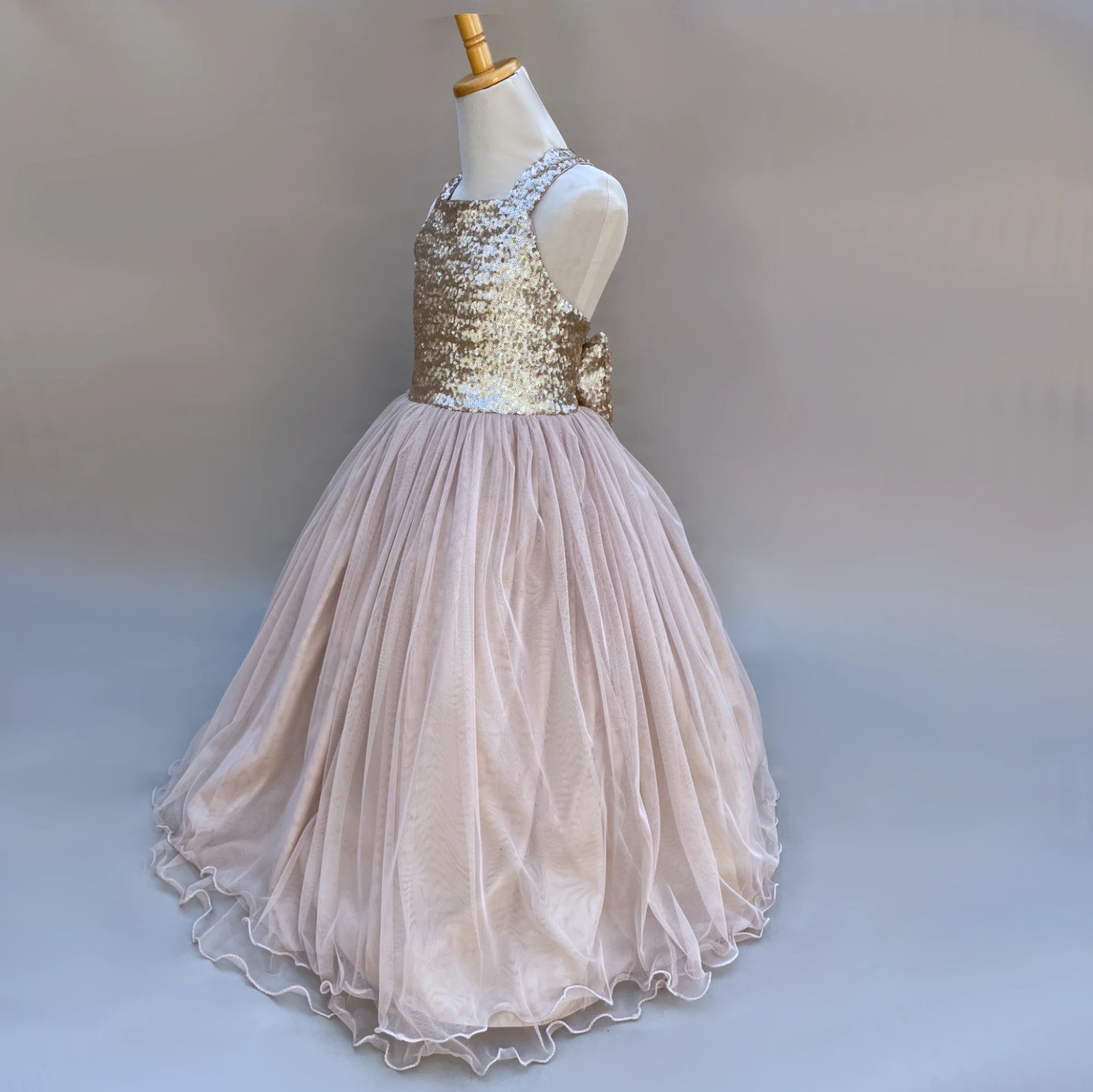 Alichia princess sequin tulle dress