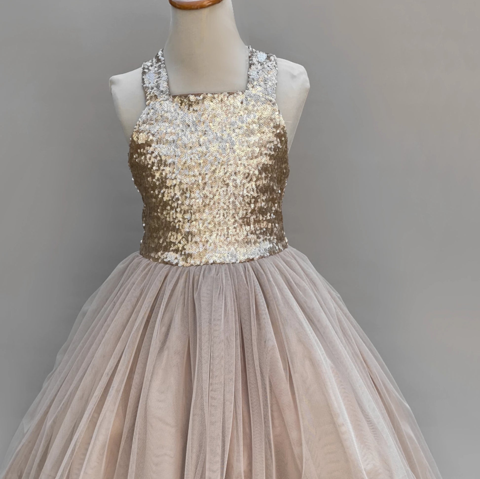 Alichia princess sequin tulle dress