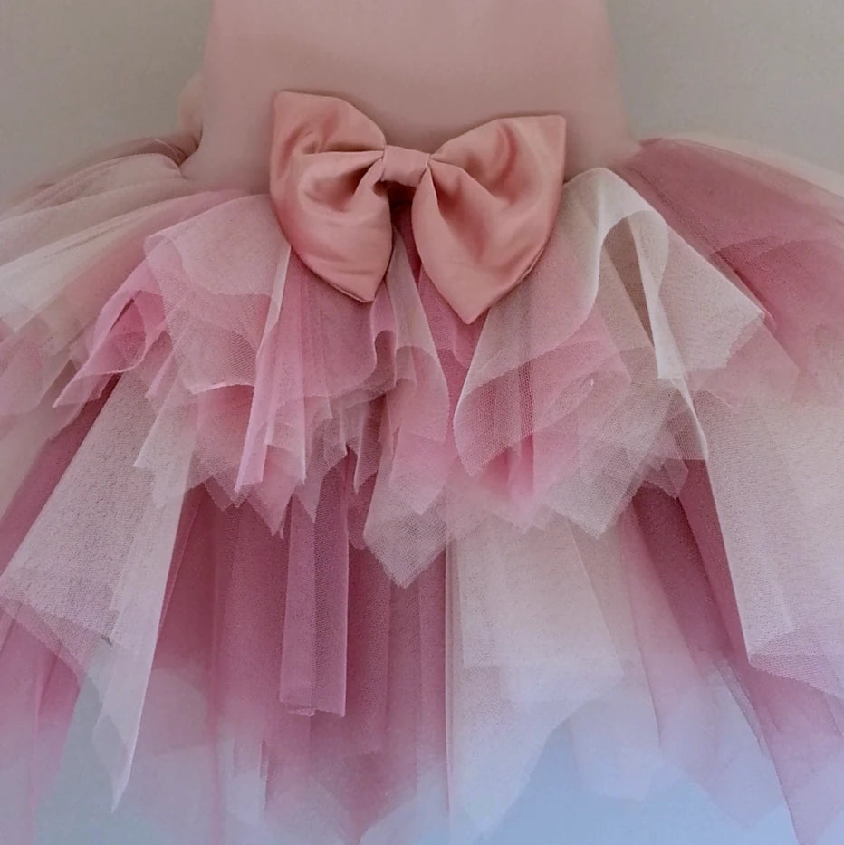 Celeste ruffle tutu dress