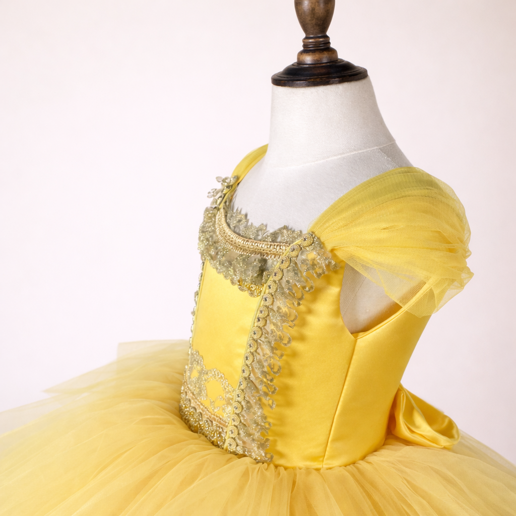 Luxury Beauty & the Beast Inspired Dress