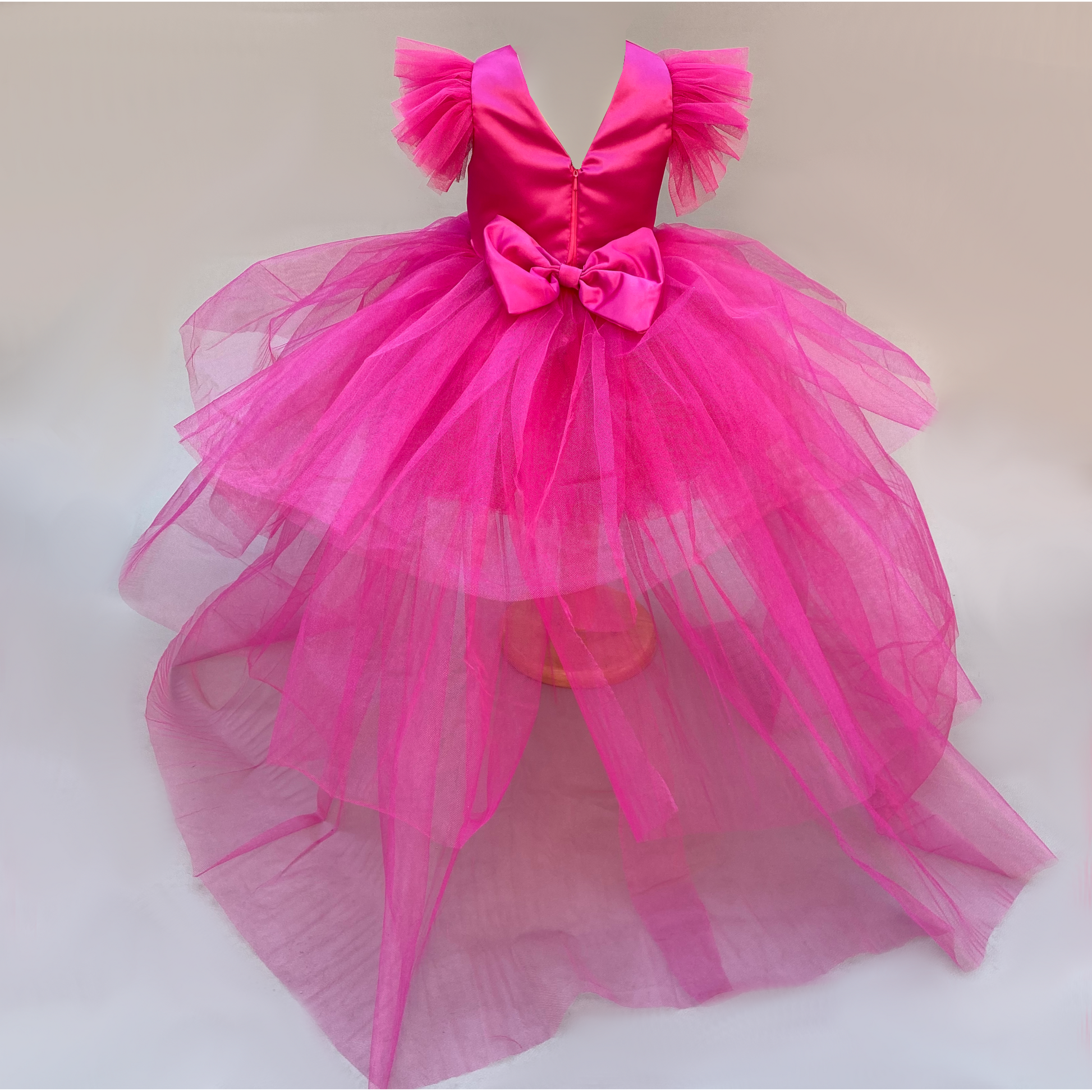 Harmony Flamingo Pink Tutu With Train